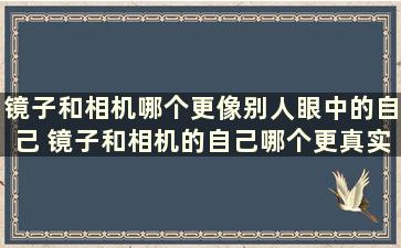 镜子和相机哪个更像别人眼中的自己 镜子和相机的自己哪个更真实